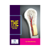 The Bone Density Solution : Your Pathway to Stronger, Healthier Bones!